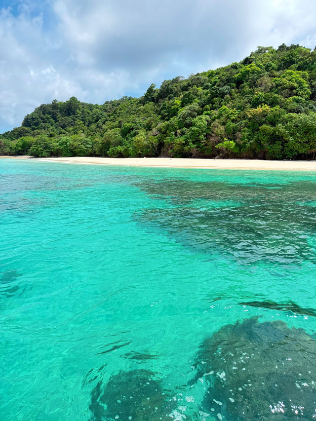 🏊🏻ดำน้ำเกาะห้า และเกาะรอก จังหวัดกระบี่🏖️