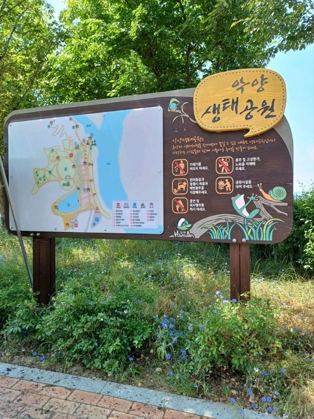 노란 물결 속 봄맞이 꽃놀이, 악양생태공원 🌼
