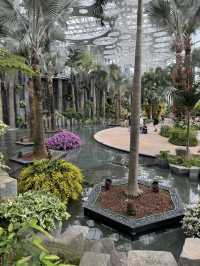Shanghai Expo Culture Park – A Living Legacy of Nature and Design