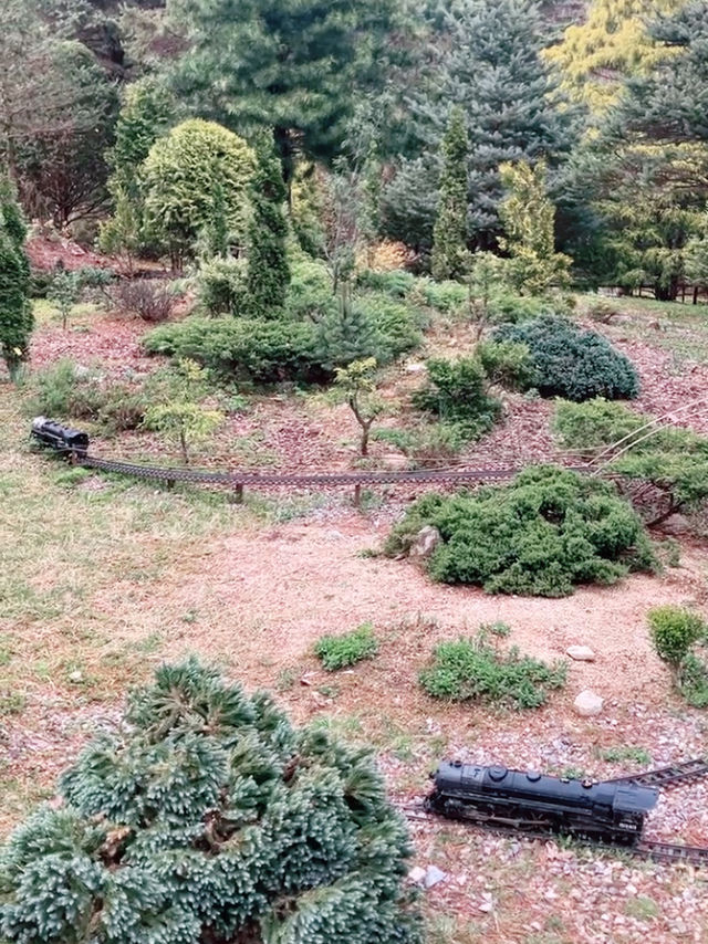 꽃길만 걷자 아침고요수목원에서🌲