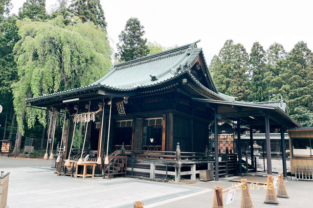 ⛩仙台東照宮！🌸櫻花季很美！