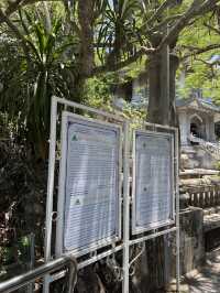 The Marble Mountains