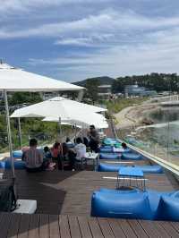 Coralani Cafe, Busan