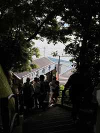 🌊海・神社・絶景がそろう「江の島」で、五感が満たされる旅を 