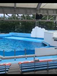 新潟市にある「マリンピア日本海」は、日本海側最大級の水族館