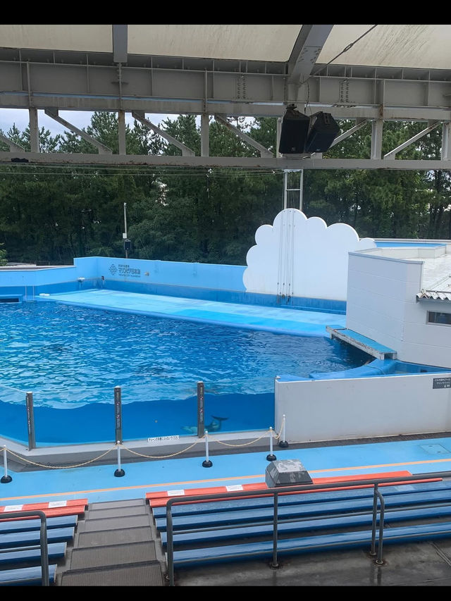 新潟市にある「マリンピア日本海」は、日本海側最大級の水族館