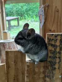 長崎Bio park- 教育與感動兼具的動物園