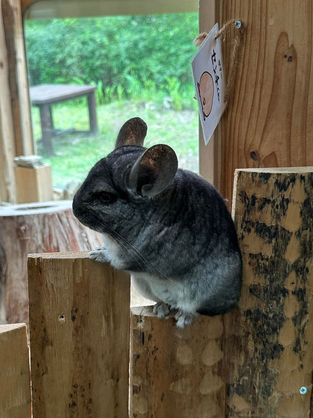 長崎Bio park- 教育與感動兼具的動物園