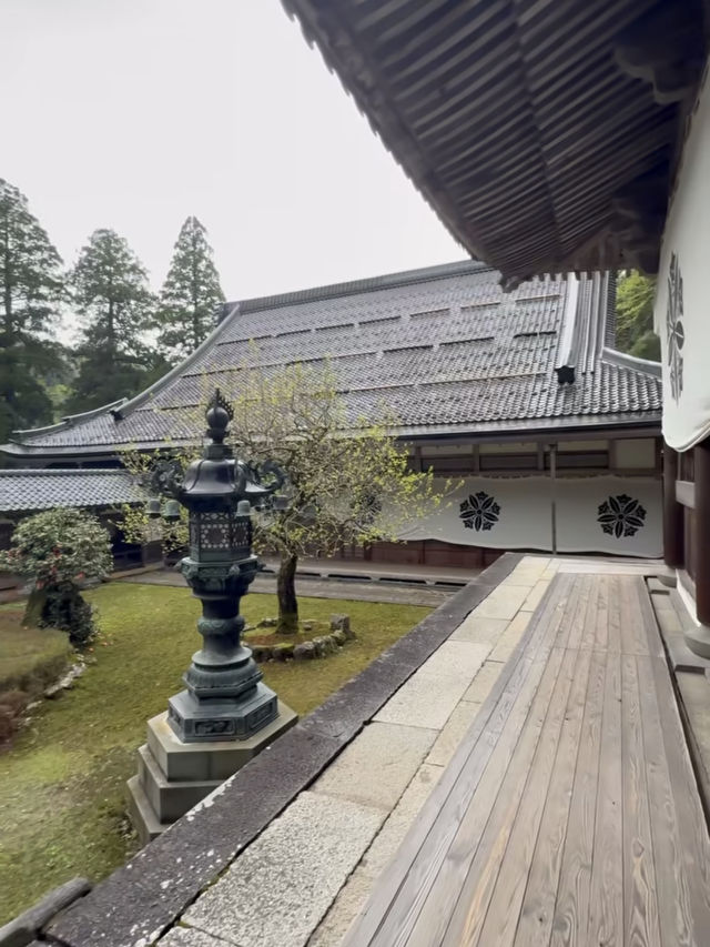 【永平寺で心を整える禅の旅】静寂に包まれる福井の名刹🙏🍃 