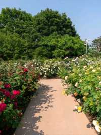 Hanging Out at Jeonju Arboretum