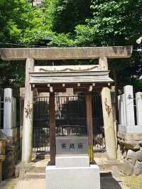 名古屋大須鬧街旁的靜謐神社〔日出神社〕⛩️🌿