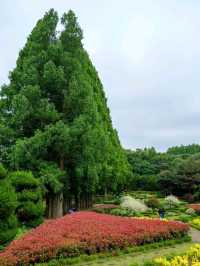 A Sweet Little Escape at Agape Garden