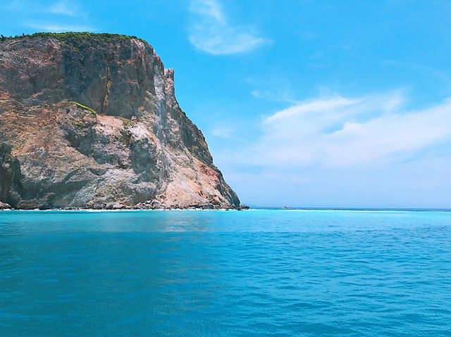 龜山島登島：與海豚相遇的夢幻小旅行 🌊🐬