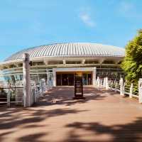 Nurimaru APEC House, Busan: A Blend of History, Architecture, and Coastal Beauty