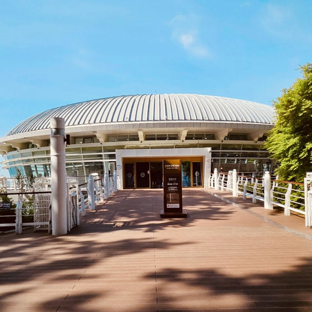 Nurimaru APEC House, Busan: A Blend of History, Architecture, and Coastal Beauty