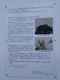 積丹　神威岬