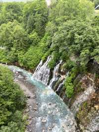 北海道 美瑛（四季彩之丘）（白金青池）（白鬚瀑布）、富良野（富田農場）