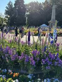 🌸【花に包まれる街】ダーリング・ダウンズの花祭りで彩りの旅