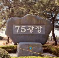 Square 75, Busan: A Local Coastal Hub with Dining and Views