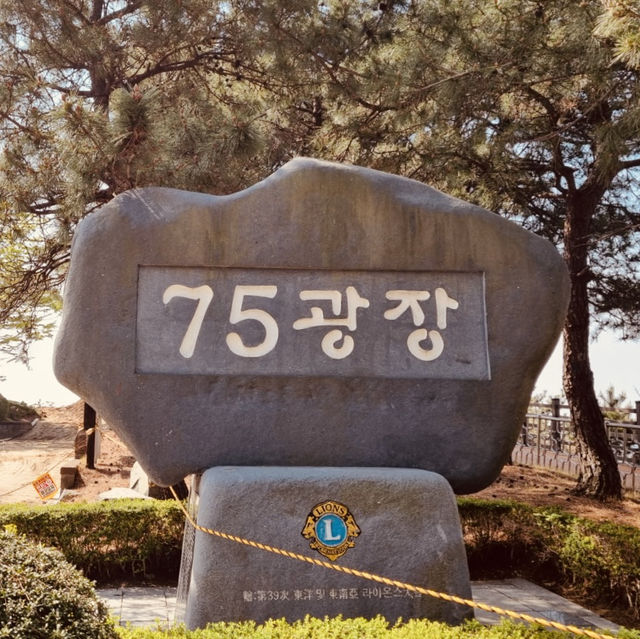 Square 75, Busan: A Local Coastal Hub with Dining and Views
