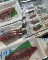 [🍔 Foodie me] Dive into Delights: The Fresh Fish of Japan's Seto Inland Sea!