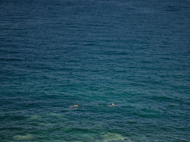Sai Daeng Resort Koh Tao