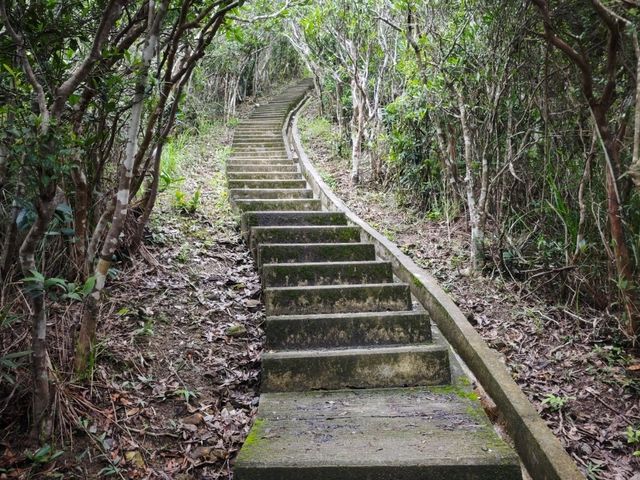 香港其實好靚