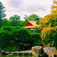 京都🇯🇵桂離宮