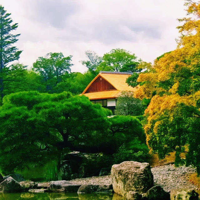 京都🇯🇵桂離宮