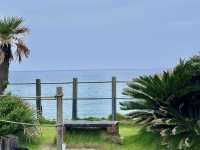 Itoshima: White Torii, Jellyfish Sea & Seafood Delights! ☀️⛩️