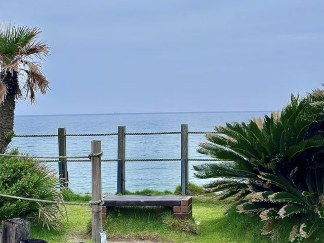 Itoshima: White Torii, Jellyfish Sea & Seafood Delights! ☀️⛩️