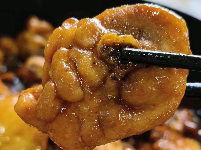 【屯門雞煲🤤！再來一煲辣到飛起🔥】