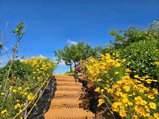 Flower Vibes at Jisepo