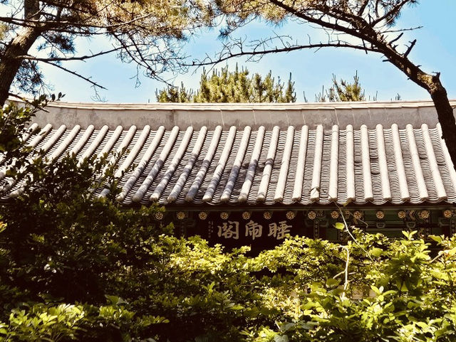 Morundae Cliff, Busan: A Rugged Natural Masterpiece at Dadaepo