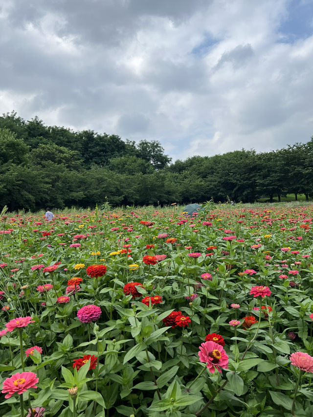 공원과 산책로