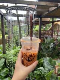 Montra Cafe ไร่วังบอน คาเฟ่ลับกลางป่า ฟีลดี 