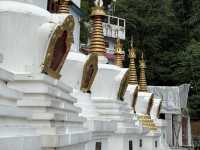 【インド・ダージリン Dali Monastery】圧巻のチベット仏教建築と出会う
