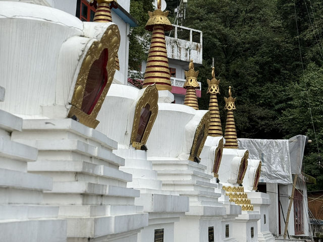 【インド・ダージリン Dali Monastery】圧巻のチベット仏教建築と出会う