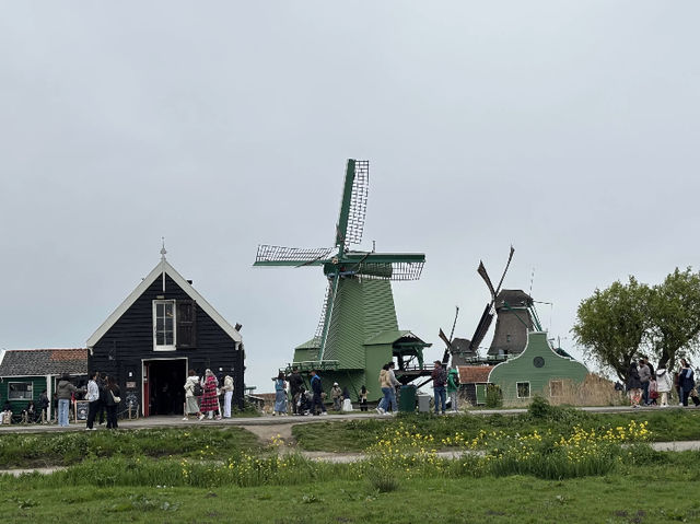 My Easter Holiday Trip to Zaanse Schans Windmill Village, Netherlands! 🇳🇱🌷