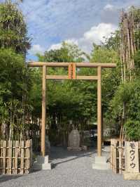 MoSo Yodia Cafe & Bar — ยกญี่ปุ่นมาไว้ใกล้กรุงเทพ