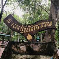 🪷ไหว้พระใกล้กรุงเทพ | วัดสังฆทาน นนทบุรี