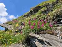 First Cliff Walk (Grindelwald First)