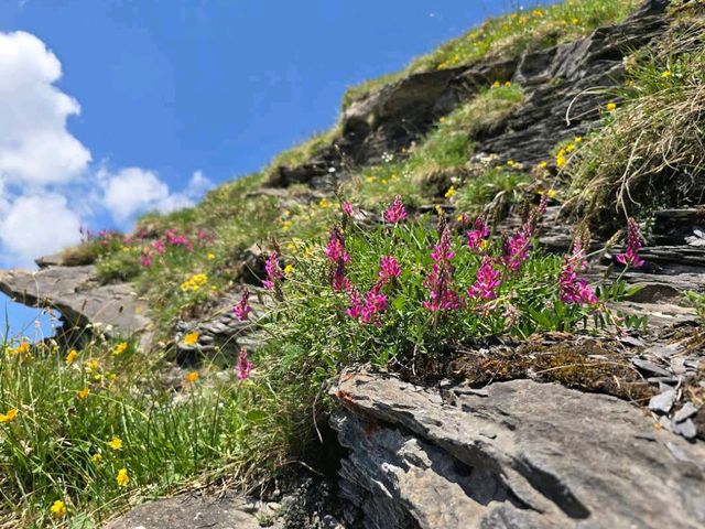 First Cliff Walk (Grindelwald First)
