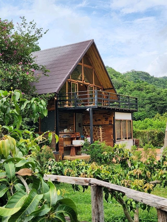Baan Khaofare The Farm Eatery & Coffee🍃🍵