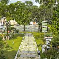 Thum Farm Cafe (ธรรมฟาร์ม)