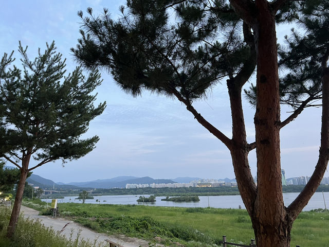 특색있는 북한강변의 카페들