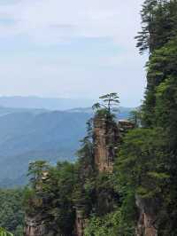 Zhangjiajie National Forest Park rocks!! 🏞