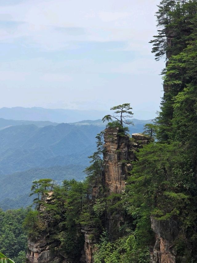 Zhangjiajie National Forest Park rocks!! 🏞