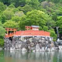 โอซาก้าในเดือนพฤษภาคม 🎌🏯