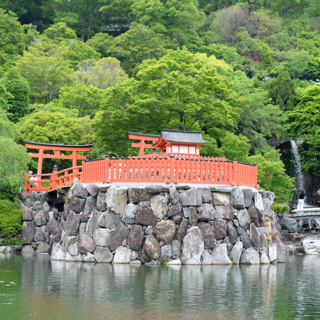 โอซาก้าในเดือนพฤษภาคม 🎌🏯